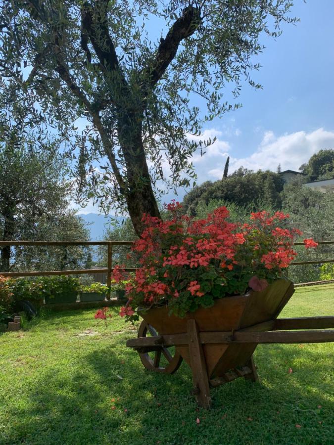Appartamento Viola Malcesine Dış mekan fotoğraf